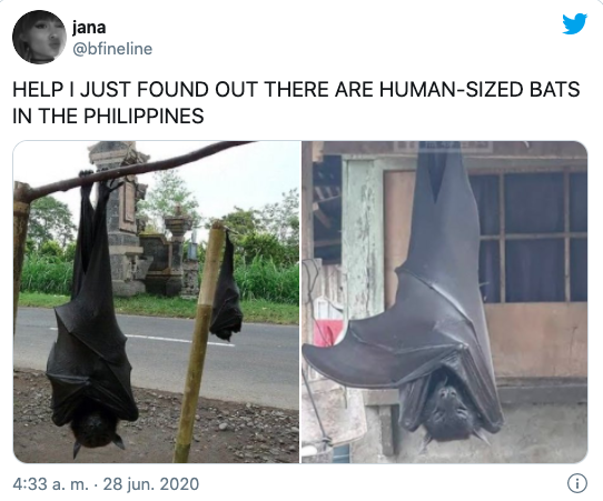 Murciélago tamaño humano