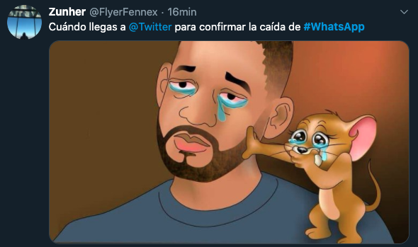 Caída_whatsApp