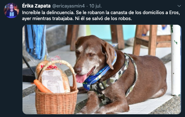 Eros_perrito_hace_entregas_asaltan