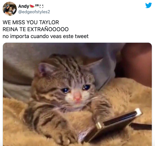 Taylor Swift está desaparecida preocupa todos sus fans