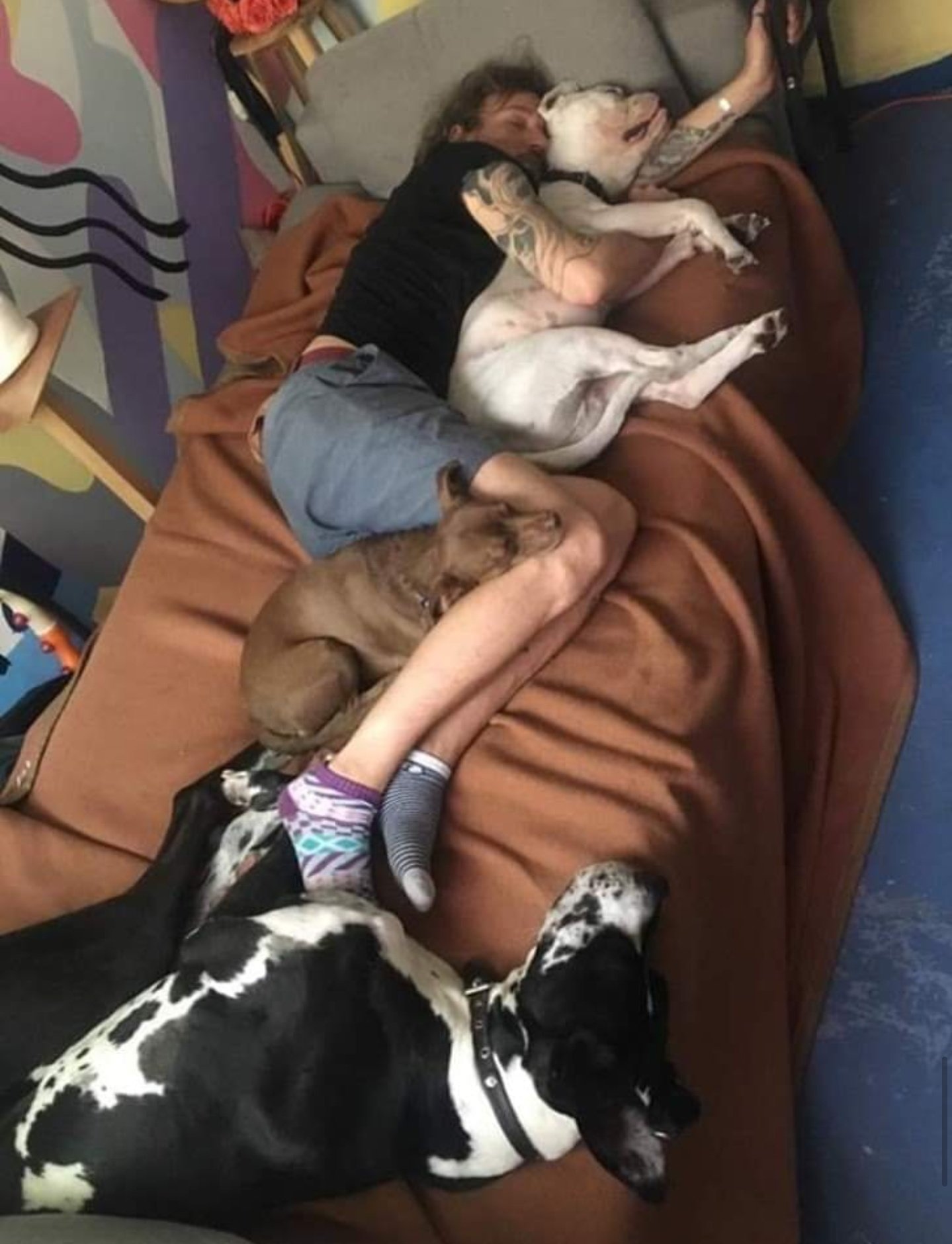 Fallece Pablo Fustec tratando de salvar a su perrita.
