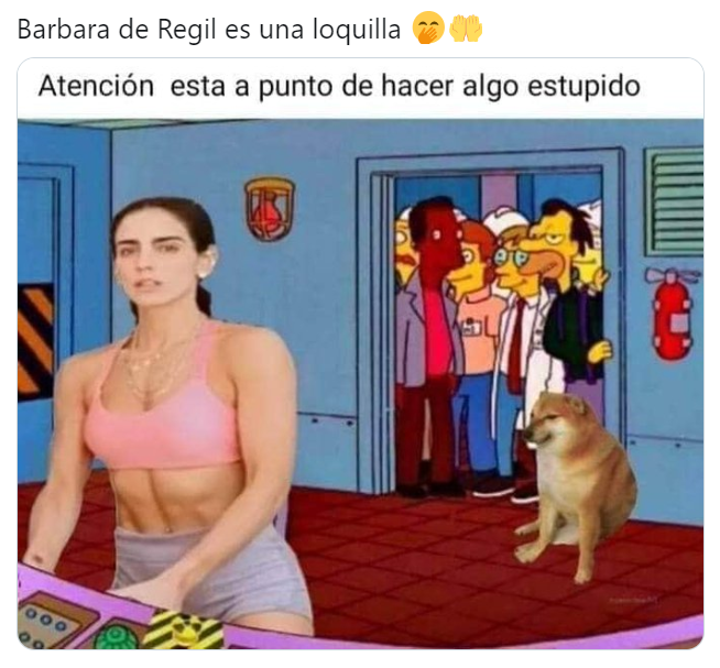 Bárbara de Regil dice que quita dolores con energía: Memes