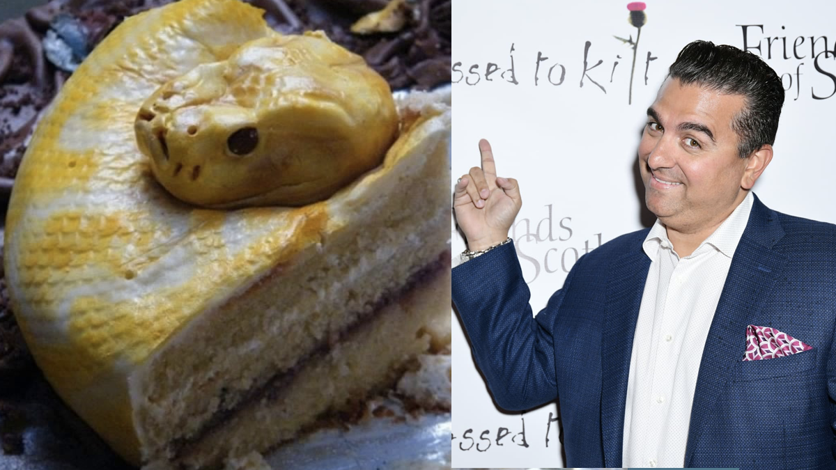 Conoce los 16 mejores memes de los pasteles que no lo parecen