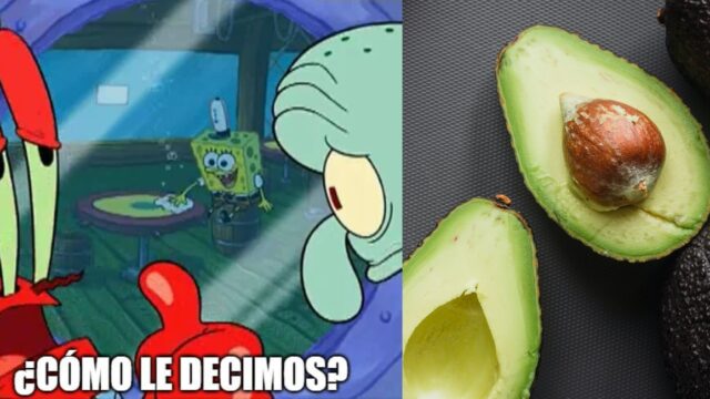 gringa hace video de como cortar aguacate en tiktok