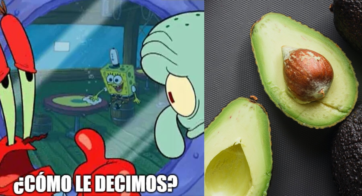 gringa hace video de como cortar aguacate en tiktok