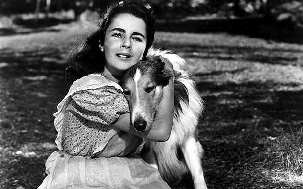Celebramos el día del perro presentándote a los suavelomitos más importantes de la historia