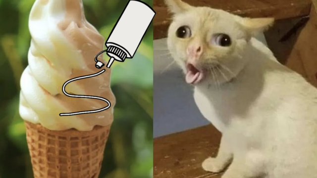 KhÃ©? ? Crean helado de mayonesa y catsup porque ya no hay temor a dios