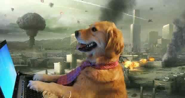Memes del perrito en la computadora en plena pandemia