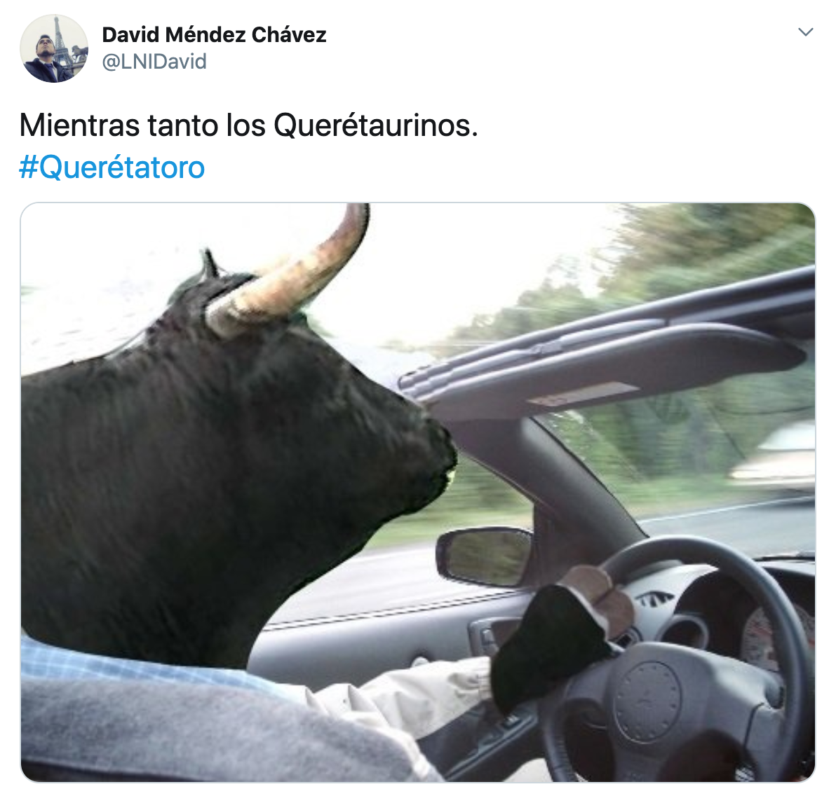 Memes de Queretatoro en la conferencia de Coronavirus