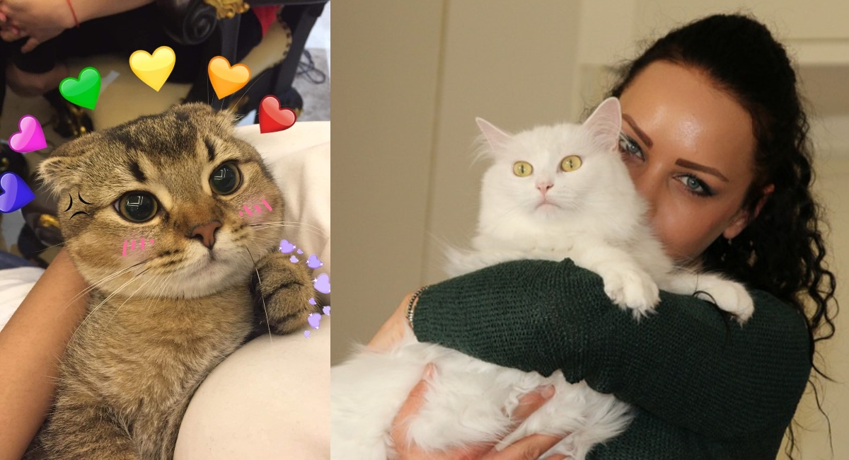 Mujeres que aman a los gatos son las más leales y tiernas