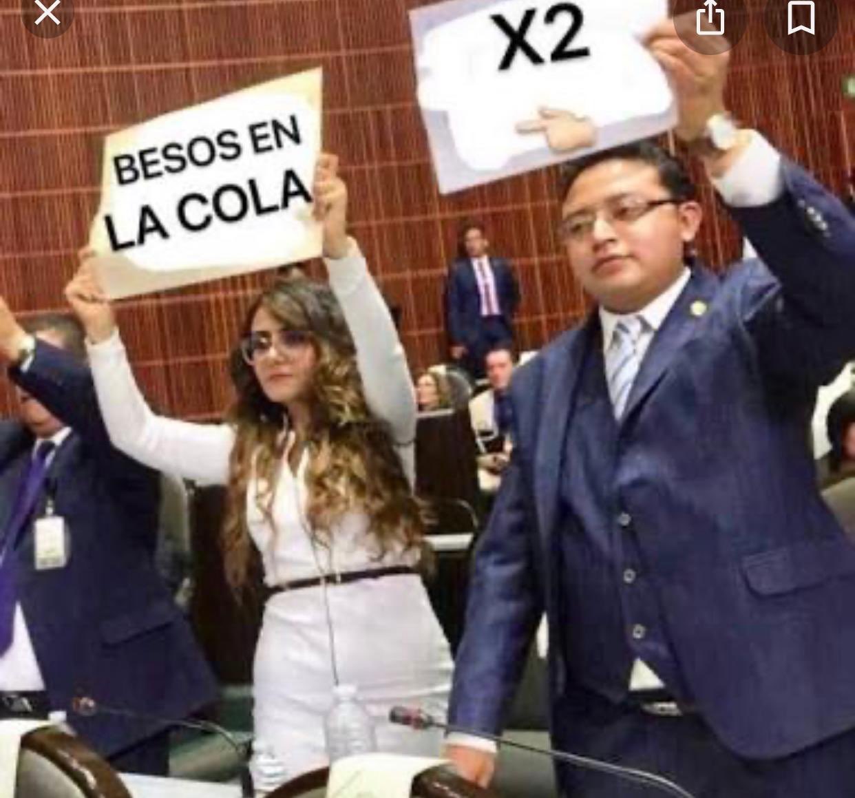 Diputada propone Ley Antimemes... y la convierten en meme