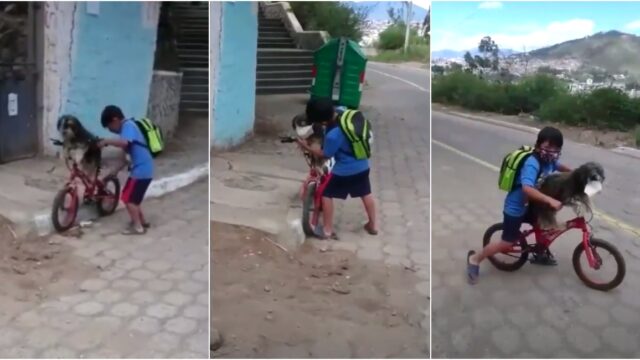 NiÃ±o le pone cubrebocas a su perrito para salir juntos de casa