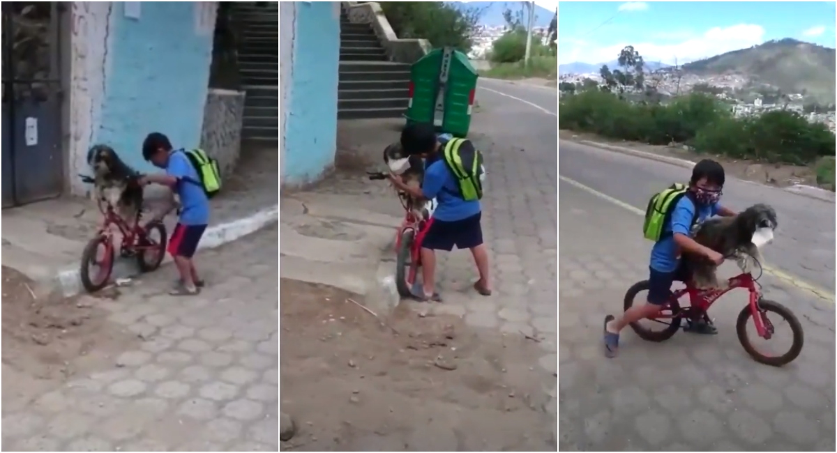 Niño le pone cubrebocas a su perrito para salir juntos de casa