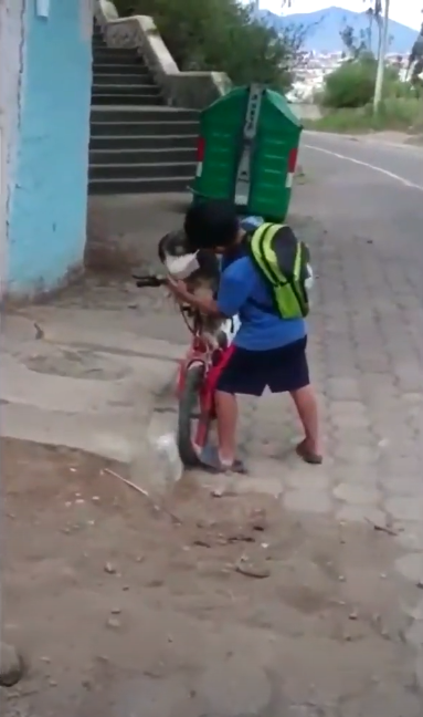 Niño le pone cubrebocas a su perrito para salir juntos de casa