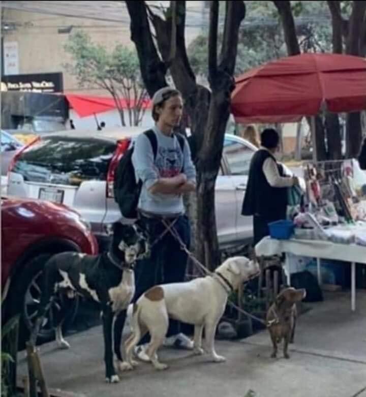 Fallece Pablo Fustec tratando de salvar a su perrita.