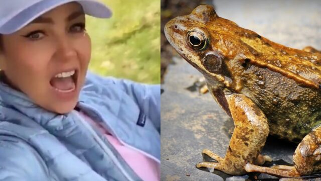 Video: Critican a Thalía por perder el control y gritarle groserías a una rana