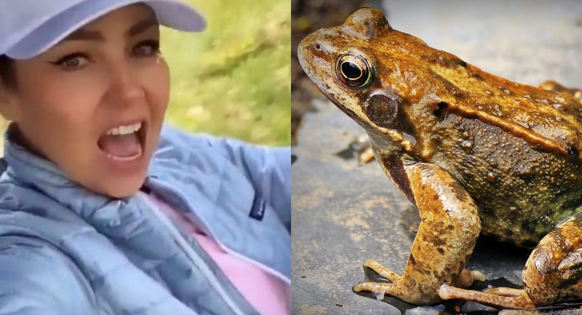 Video: Critican a Thalía por perder el control y gritarle groserías a una rana