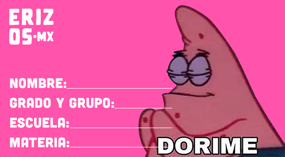 Tenemos las mejores etiquetas memeras para tus cuadernos este regreso a clases