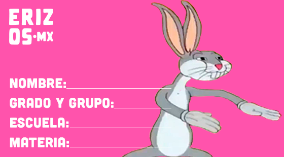 Tenemos las mejores etiquetas memeras para tus cuadernos este regreso a clases
