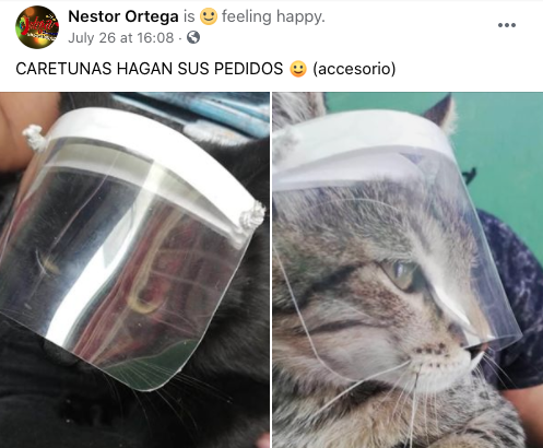 Crean caretunas, caretas para gato para protegerlos Covid