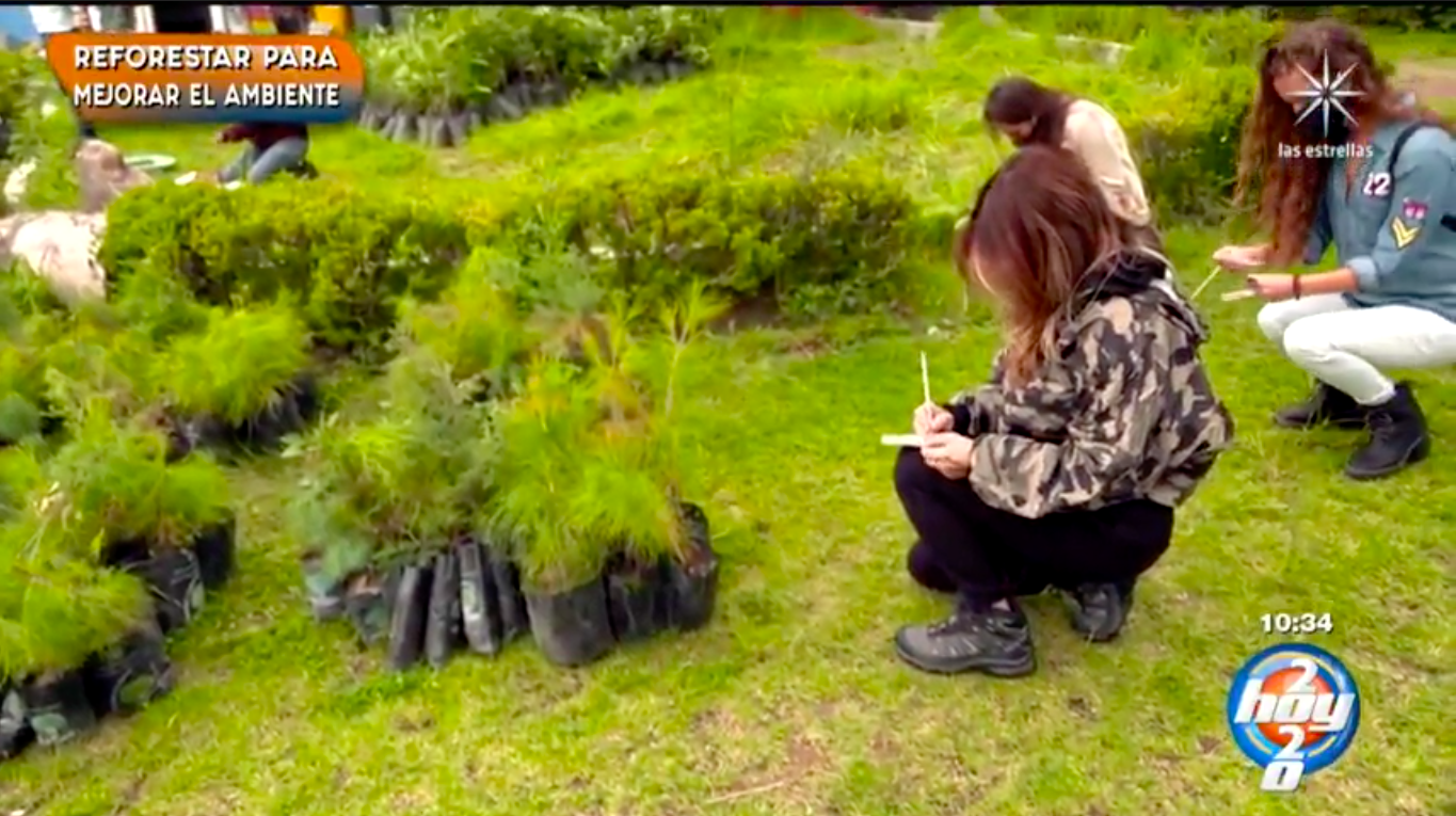 Andrea Legarreta hace ritual ecológico para salvar al planeta plantando arbolitos