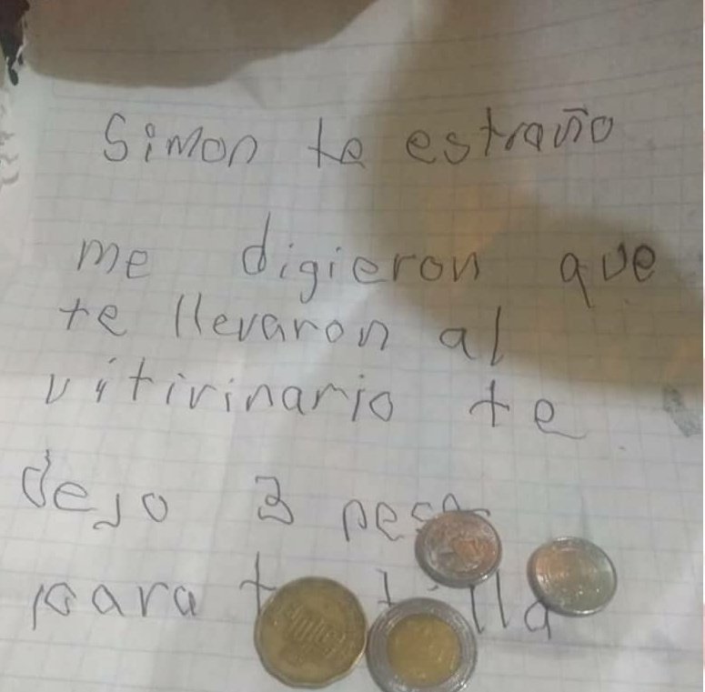 Aparece el dueño del perrito Simón y se reencuentran después de varios meses