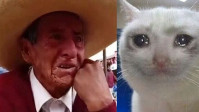 Abuelo llora porque sus hijos le exigen la herencia en vida