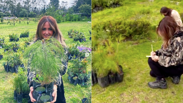 Andrea Legarreta hace ritual ecológico para salvar al planeta plantando arbolitos