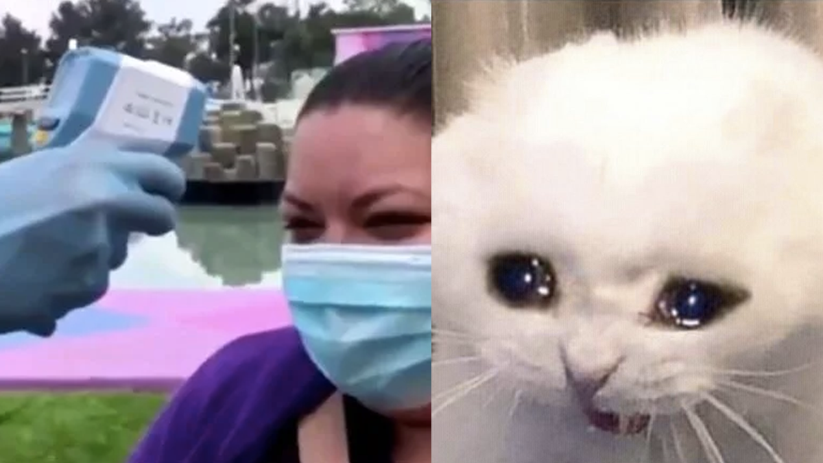 Señora pide que le borren el recuerdo de un viejo amor y se convierte en meme