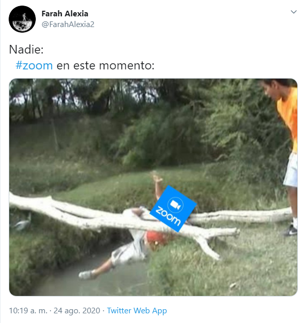 Memes de la caída de Zoom en el regreso a clases 2020