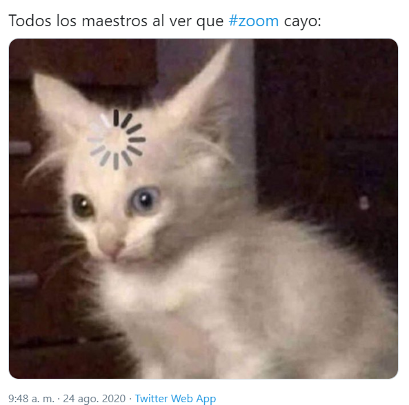 Memes de la caída de Zoom en el regreso a clases 2020