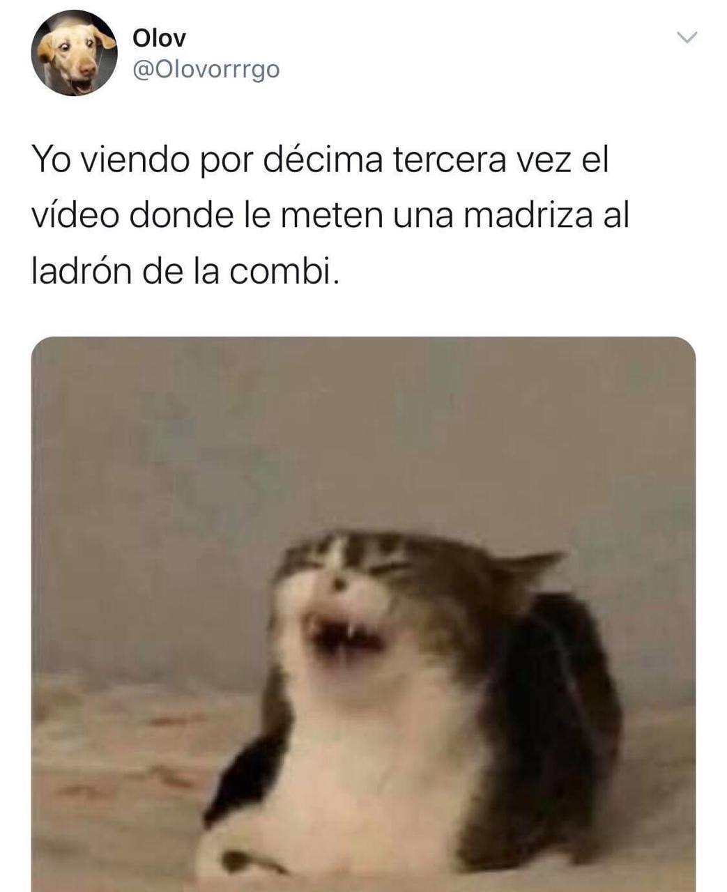 Pasajeros golpean ratero en combi México y crean memes