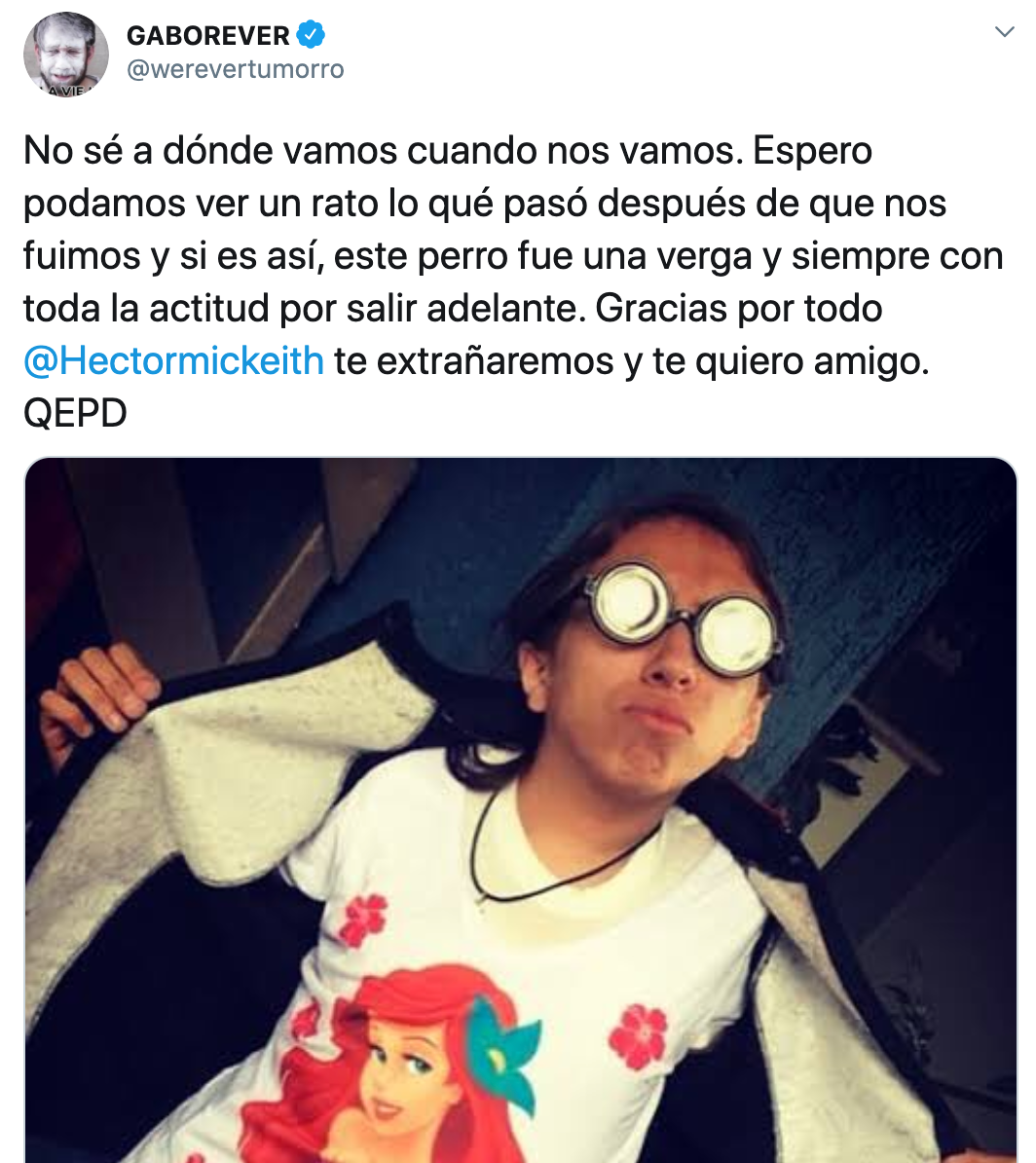 Murió Hector Mickheit, Juanito Sirenita de Werevertumorro