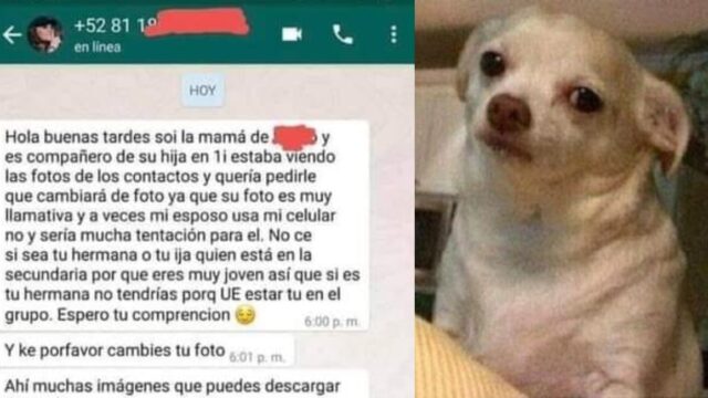 Mujer pide a otra cambiar su foto de perfil en Whatsapp