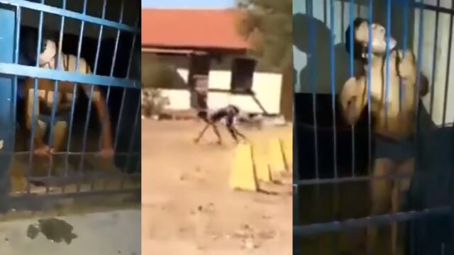 Hombre asegura que es un nahual y el video estremece a todos