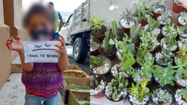 Niña vende plantas para pagar tratamiento contra cáncer