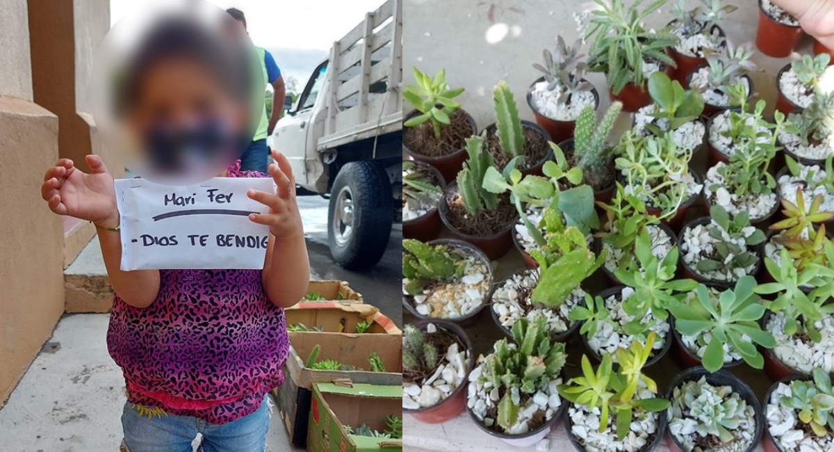Niña vende plantas para pagar tratamiento contra cáncer