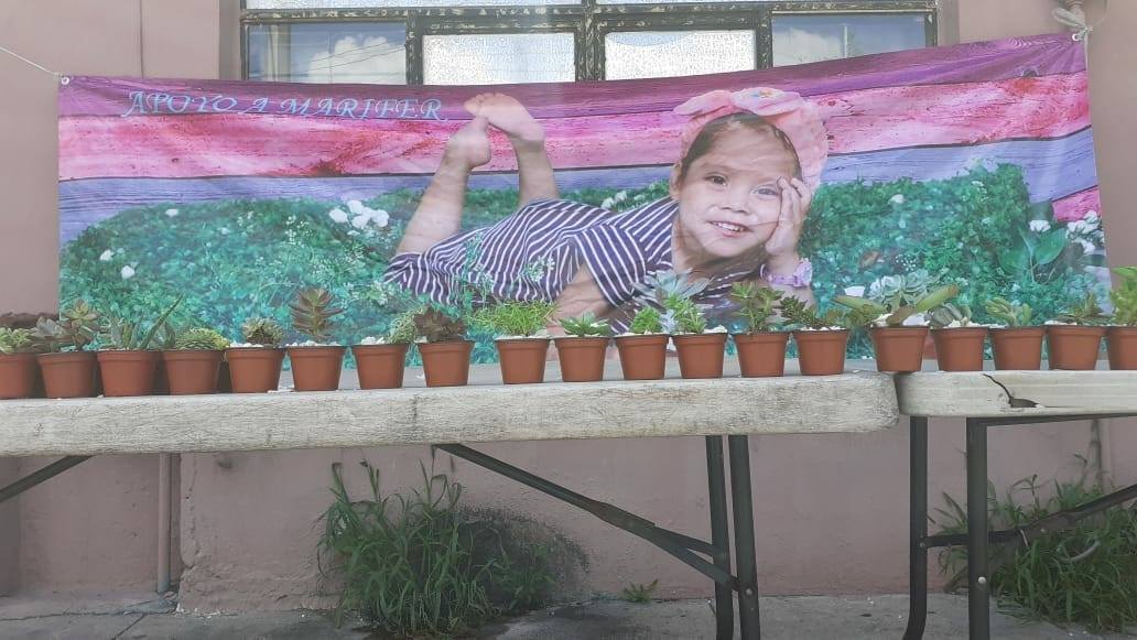 Niña vende plantas para pagar tratamiento contra cáncer
