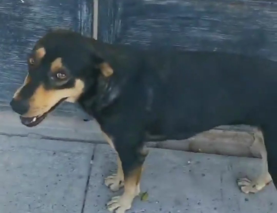 Joven Chihuahuense le lleva serenata a su novia y la cacha con el otro