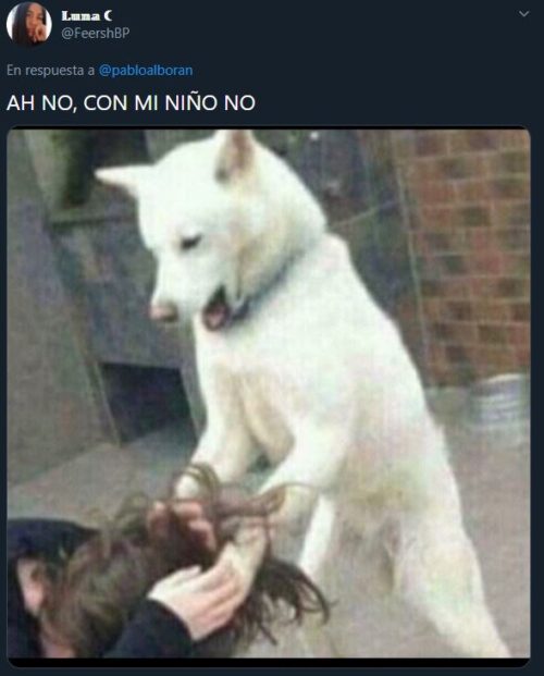 Fanáticos apoyan a Pablo Alborán