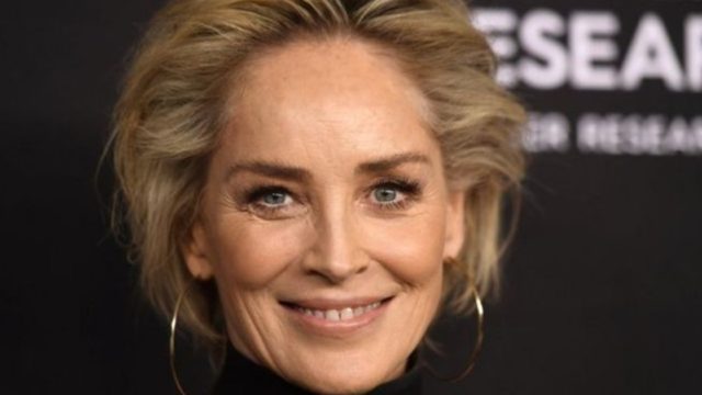Sharon Stone Netflix