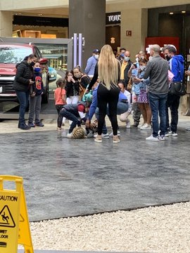 Captan a mujer paseando con tigre en Plaza Antara