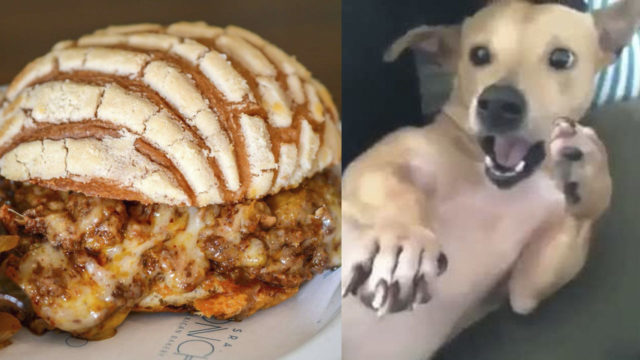 Inventan la Concha con Choriqueso y el internet reacciona a ella