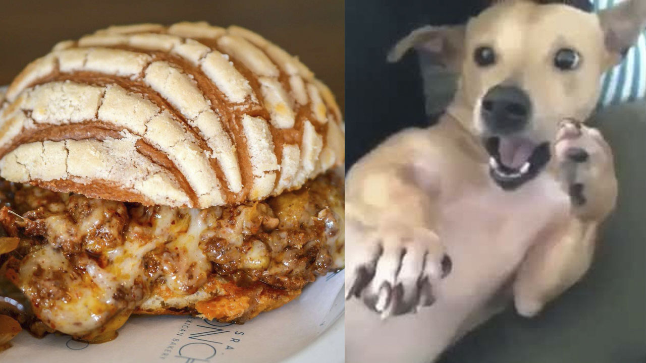 Inventan la Concha con Choriqueso y el internet reacciona a ella