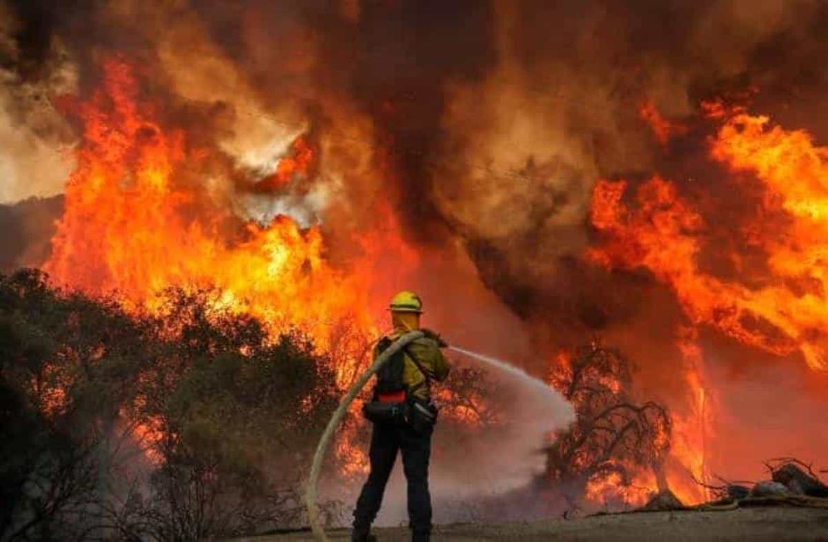 Fiesta de revelación de género del bebé causa incendio forestal por pirotecnia