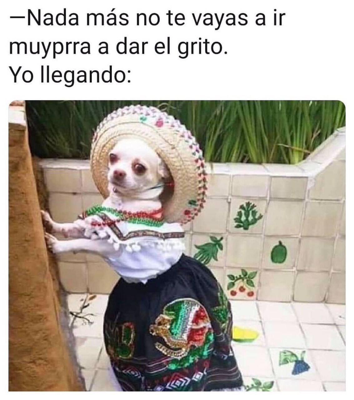 Los mejores memes del Grito de Independencia 2020