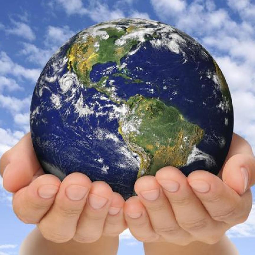 No tener hijos es lo más eco friendly para ayudar a salvar el planeta
