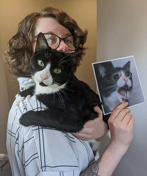 Muere "Screaming Cat", el famoso meme del gato gritando