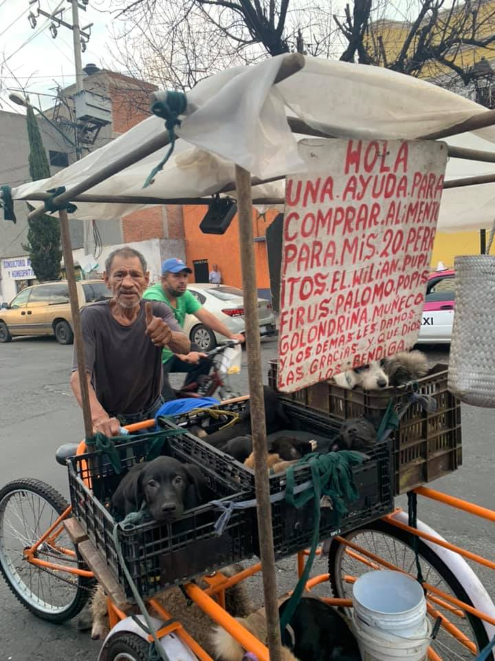 Abuelito sale en un triciclo a pedir comida para sus 20 perritos