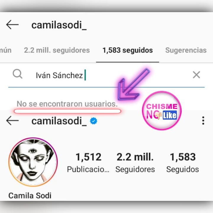 Camila Sodi termina su romance